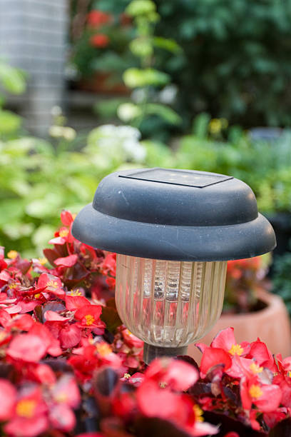 istock solar lamp in red flowers 173901592
