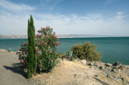 Sea of galilee in Capernaum. This is the place where Peter went for fishing.See my other pics of Israel: