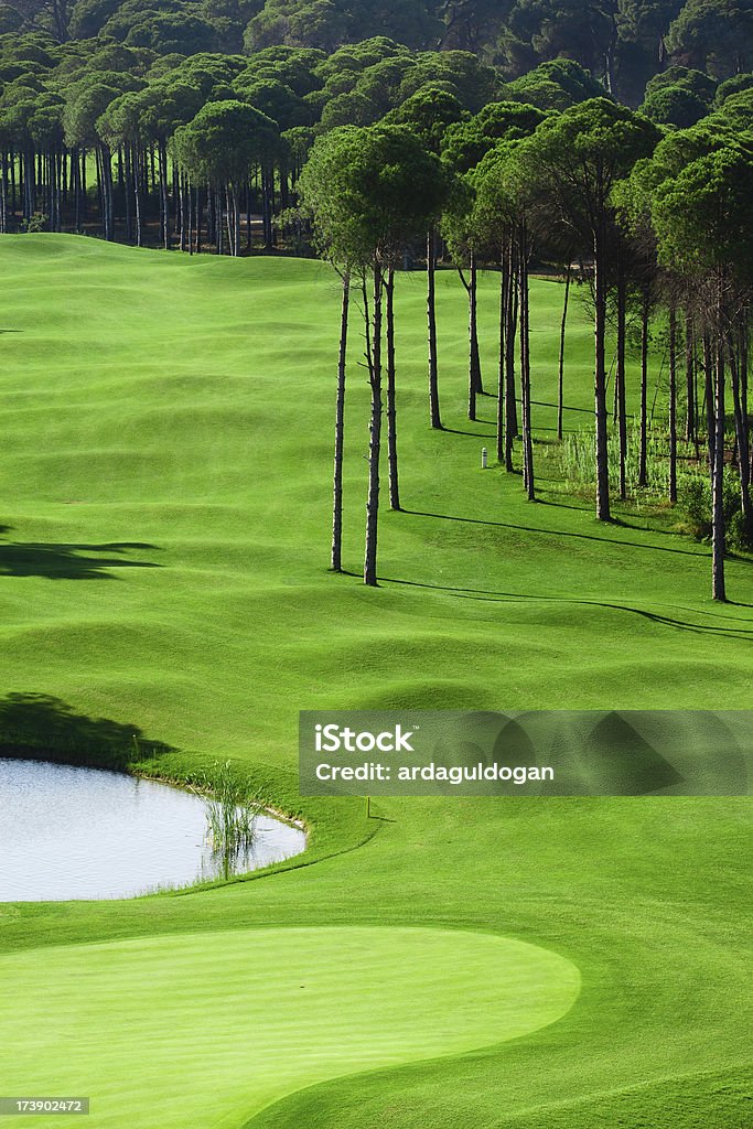 Golf Course A vertical view of one of the finest golf course in Europe. Golf Stock Photo