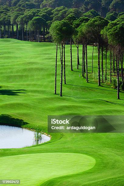 Golf Course Stock Photo - Download Image Now - Golf, Tourist Resort, Water