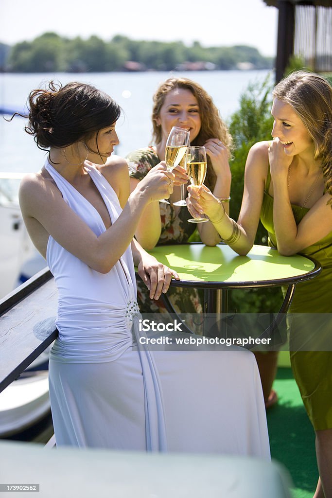 Champagne toast - Zbiór zdjęć royalty-free (Bar - Lokal gastronomiczny)
