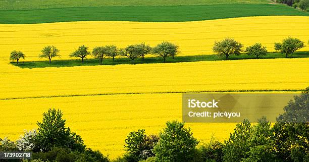 Foto de De Energia e mais fotos de stock de Biotecnologia - Biotecnologia, Abastecer, Acaso