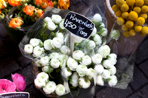 Ranunculus at Amsterdam Flower Market