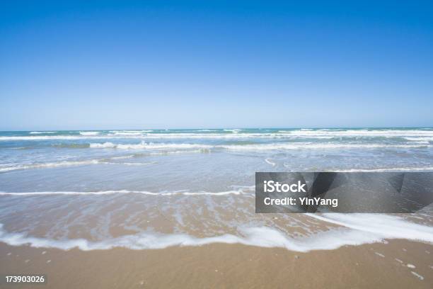 Padre Island National Seashore - Fotografias de stock e mais imagens de Praia - Praia, Texas, Padre Island National Seashore