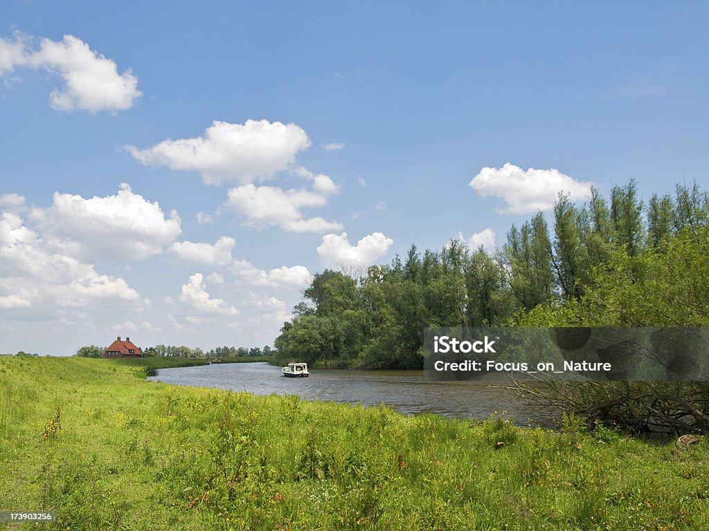 Biesbosch - Photo de Bleu libre de droits