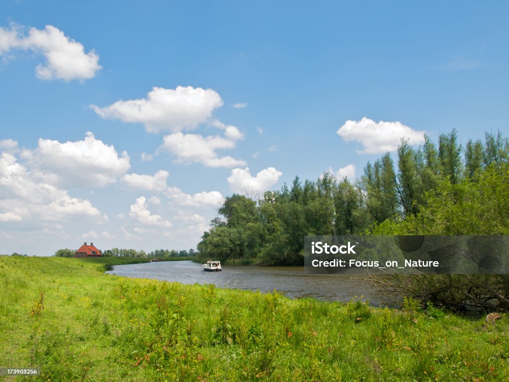 Biesbosch - Foto stock royalty-free di Acqua