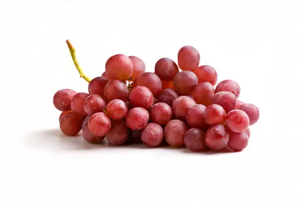 Photo of Red grapes on the vine on a white background