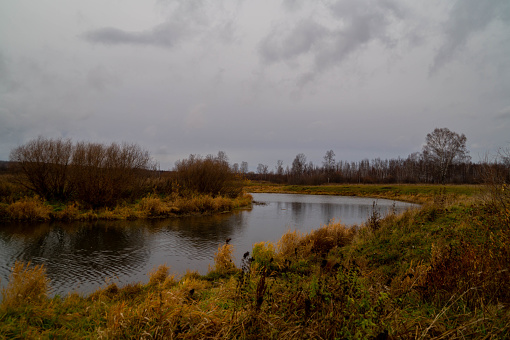 A swampy river and a black, overcast sky.Autumn landscape.