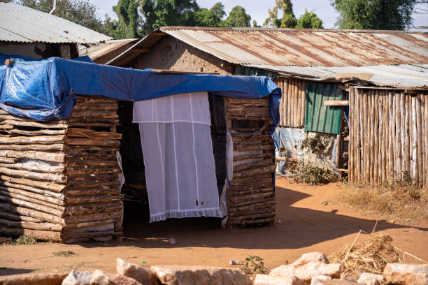 istock Life in Tanzania 1739040126