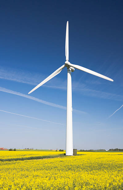 istock Wind turbines in yellow rape field. Blue sky. 173904245