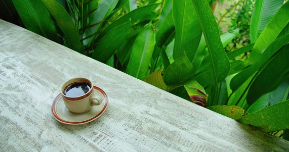 Table in a green lush tropical garden. Waiter serving a cup of latte coffee on countertop. Outdoor drink made with espresso.