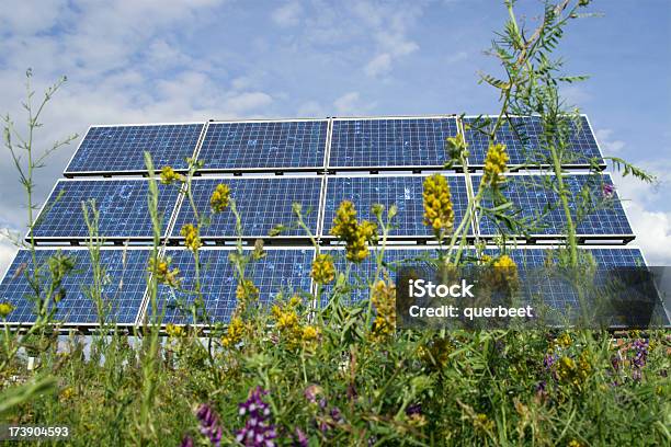 Solarpanelsalternative Energy Stockfoto und mehr Bilder von Blume - Blume, Energieindustrie, Fotografie