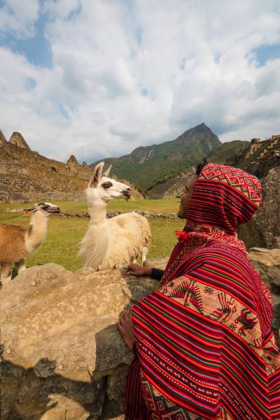 istock man in poncho with alpacas in machupiccu cusco peru 1739047861