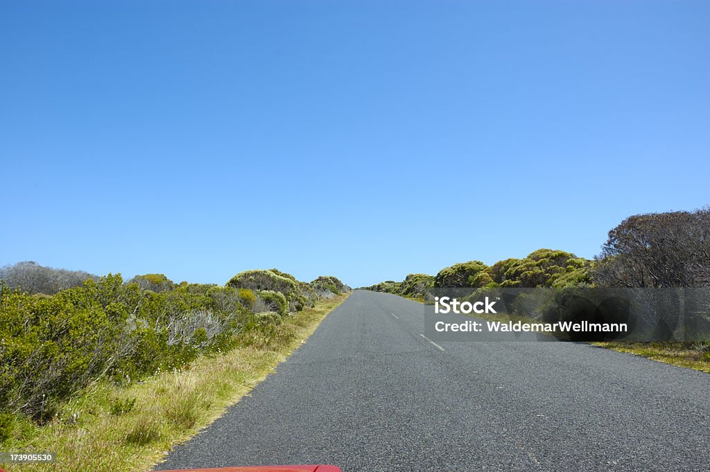 Boondock road - Foto de stock de Arbusto libre de derechos