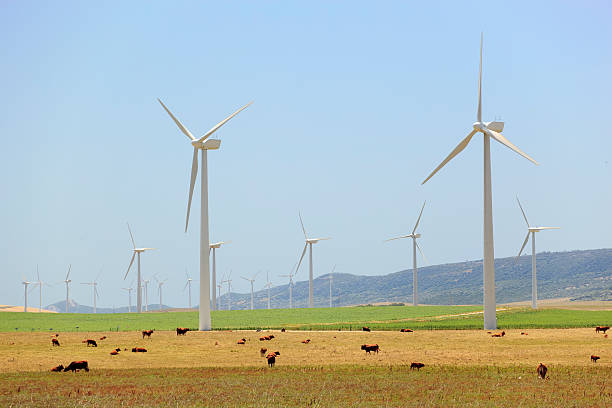 istock wind turbine and agriculture 173905878