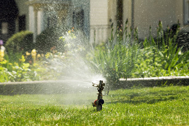 istock Summer Sprinkler on the Lawn Hz 173905956