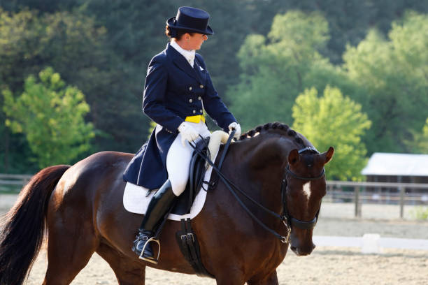 istock Young dressage rider before the competition 173906313