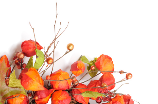 Part of Thanksgiving wreath - twigs, autumn leaves and beads on white background