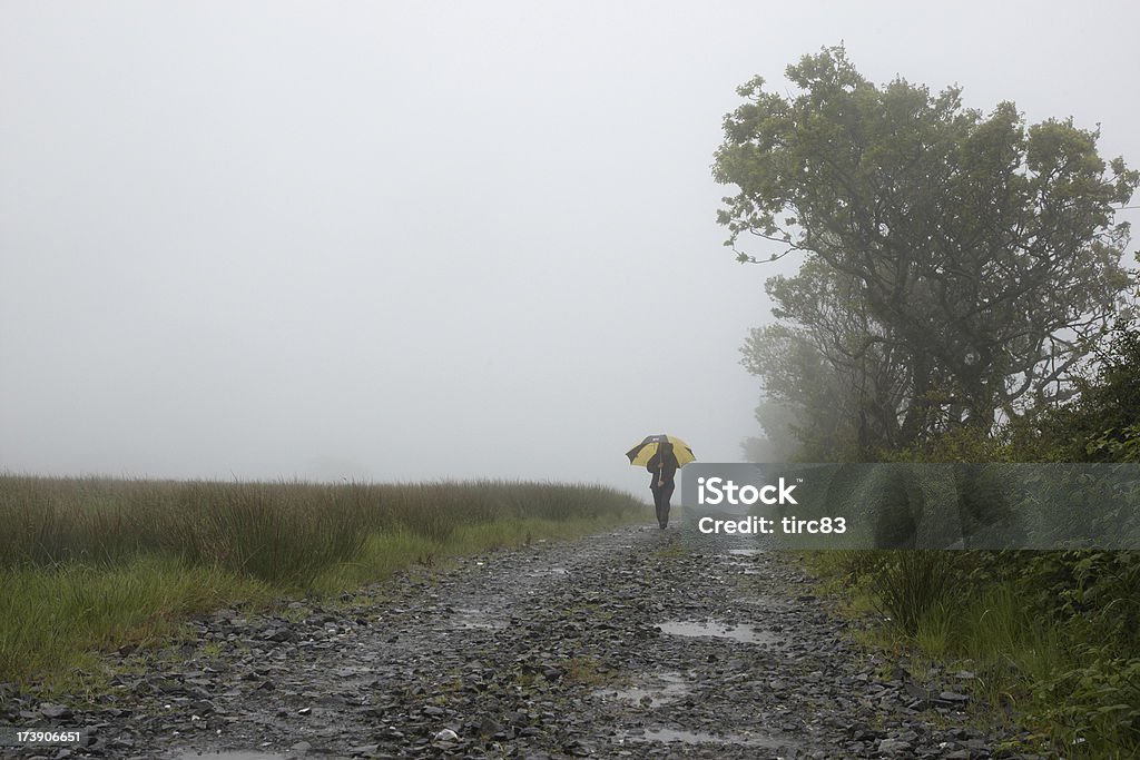 Mujer en la niebla muddy road - Foto de stock de Adulto libre de derechos