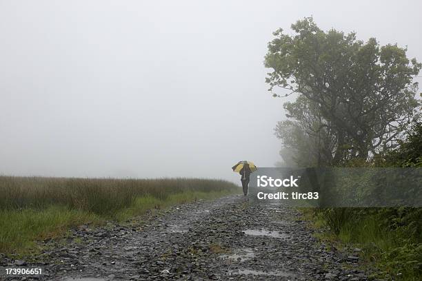 Mujer En La Niebla Muddy Road Foto de stock y más banco de imágenes de Adulto - Adulto, Aislado, Andar