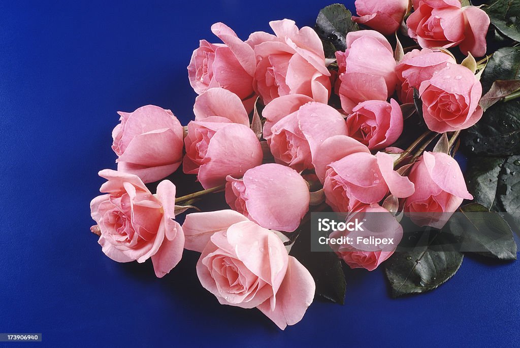 Buquê de rosas cor-de-rosa - Foto de stock de Aniversário royalty-free