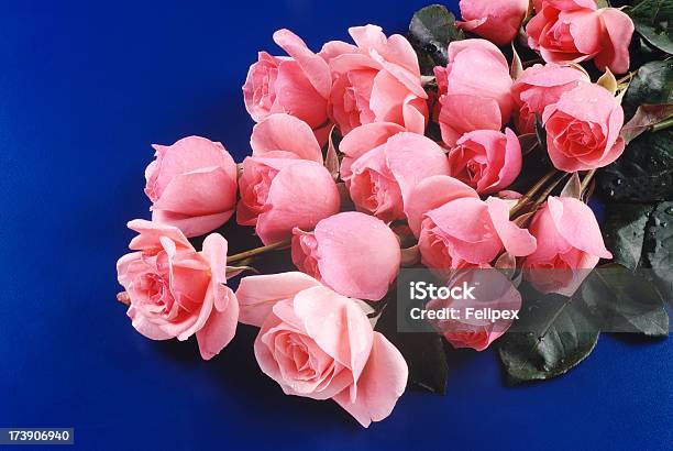 Foto de Buquê De Rosas Corderosa e mais fotos de stock de Aniversário - Aniversário, Bouquet, Comemoração - Evento