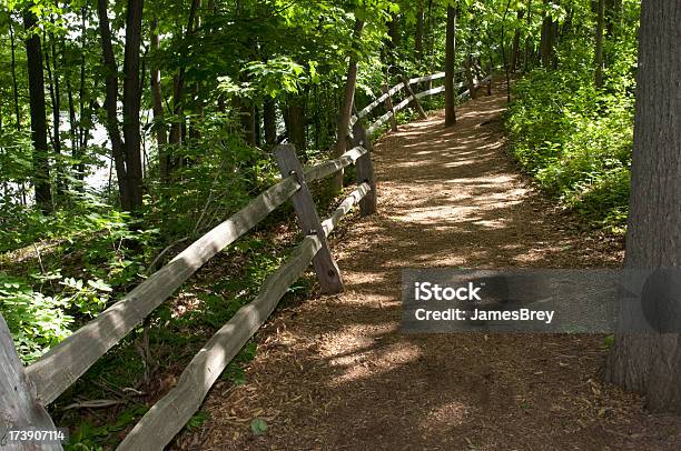Rustikalwalkingpfad Im Wald Stockfoto und mehr Bilder von Baum - Baum, Bildhintergrund, Blatt - Pflanzenbestandteile