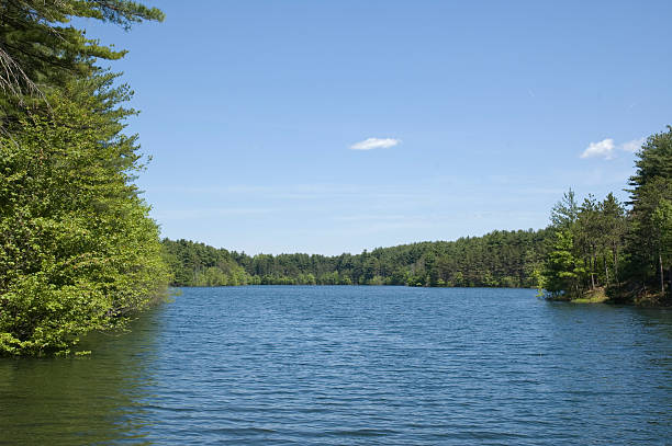 istock South Reservoir, Winchester MA 173907517