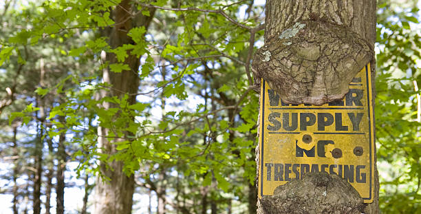 istock No Trespassing, with Three Bullet Holes 173907521
