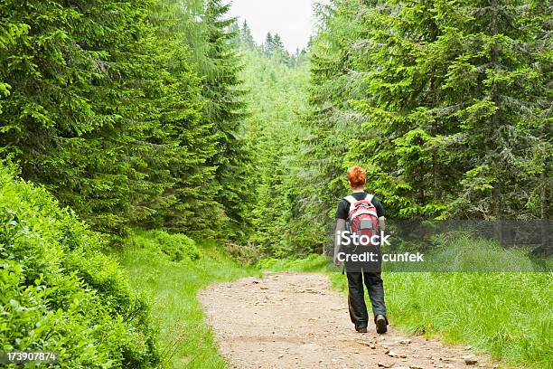 Photo libre de droit de Printemps De Randonnée banque d'images et plus d'images libres de droit de Adulte - Adulte, Aller de l'avant, Arbre