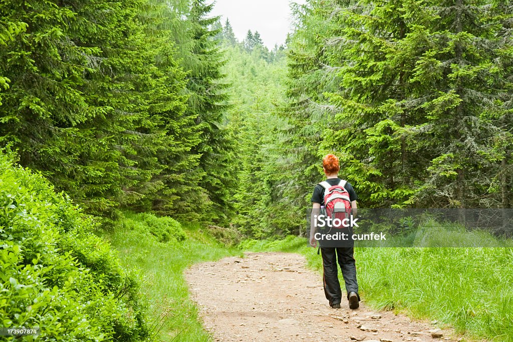 Caminhadas na primavera - Foto de stock de Adulto royalty-free