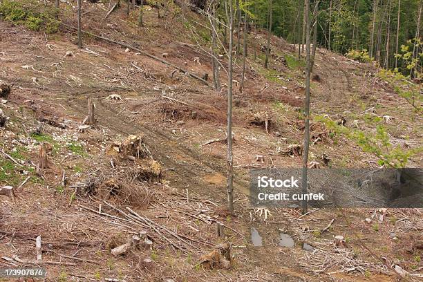 Danos Ambiental - Fotografias de stock e mais imagens de Acidente Natural - Acidente Natural, Acidentes e Desastres, Alterações climáticas