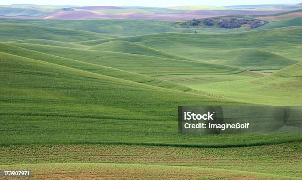 Foto de Rolling Prairie e mais fotos de stock de Agricultura - Agricultura, Ajardinado, Beleza