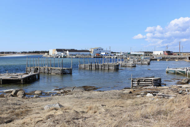istock Small piers and fish plant 173907989