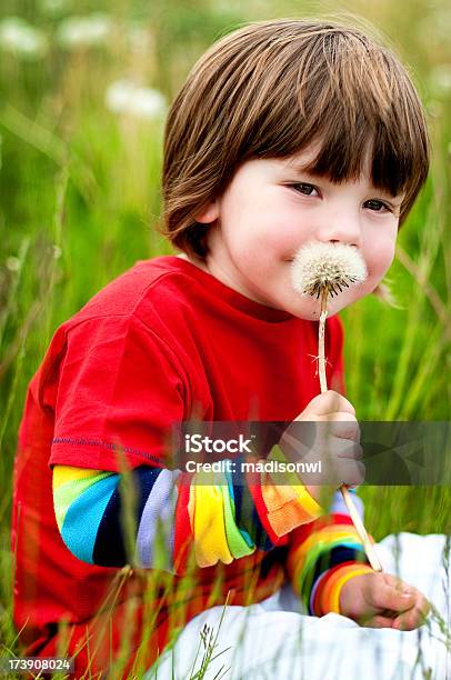 Dentedeleão Kisses - Fotografias de stock e mais imagens de 2-3 Anos - 2-3 Anos, Arco-Íris, Claro