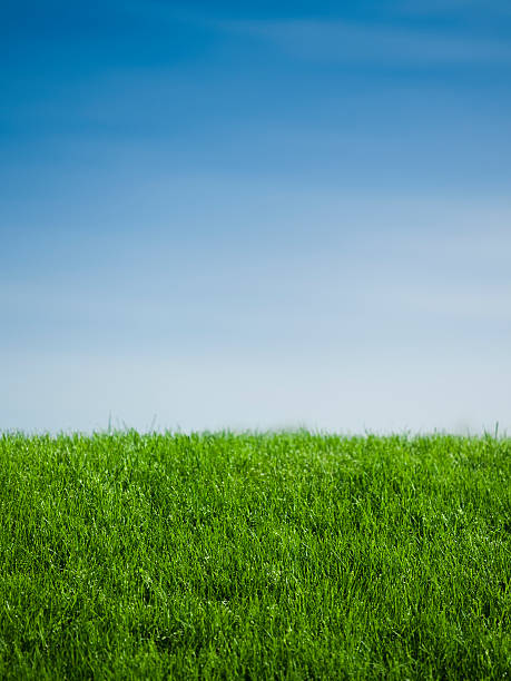 istock Outdoor fresh air background 173908261