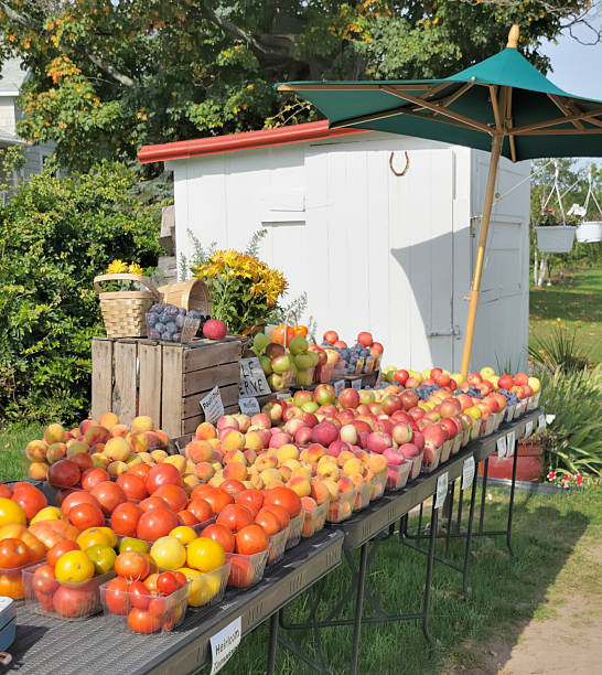 istock Fruit and vegetable market stand in the country. 173908334
