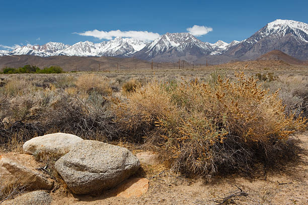 desert with snow capped mountains in background desert with the white mountain range on the nevada and california border. foreground is in focus with  large depth of field. nevada desert inyo white mountain range rock stock pictures, royalty-free photos & images