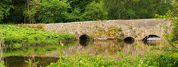 istock Conksbury Bridge from the River Bank 173908492
