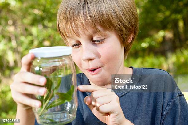 Bambino Di Età Scolare Ragazzo Awe Bug Nel Barattolo Di Vetro Scienza Allaperto - Fotografie stock e altre immagini di Barattolo di vetro