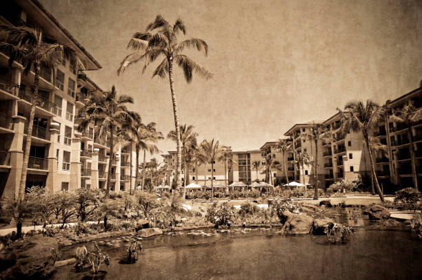 vintage hawaii / maui resort with some grunge / in sepia tone