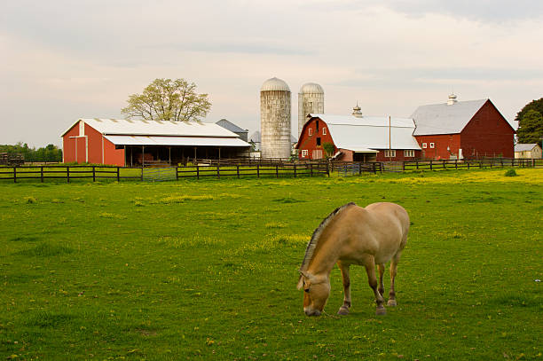 istock Classic Red Barn and Horse 173908969