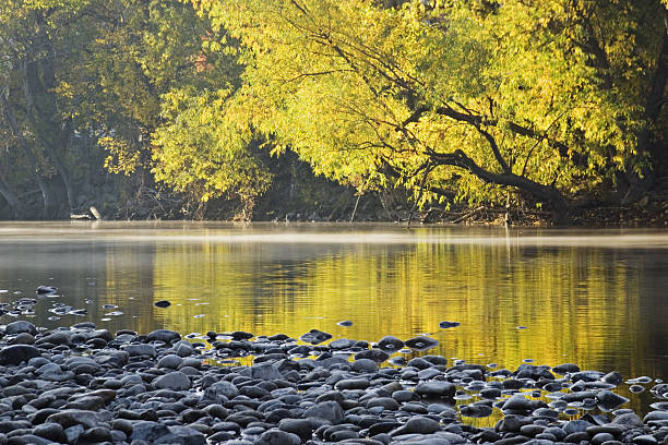 Beautiful autumn "Beautiful autumn along Boise River, Boise, Idaho, USAPlease see my Autumn Landscape lightbox for more Autumn Landscape image options:" boise river stock pictures, royalty-free photos & images