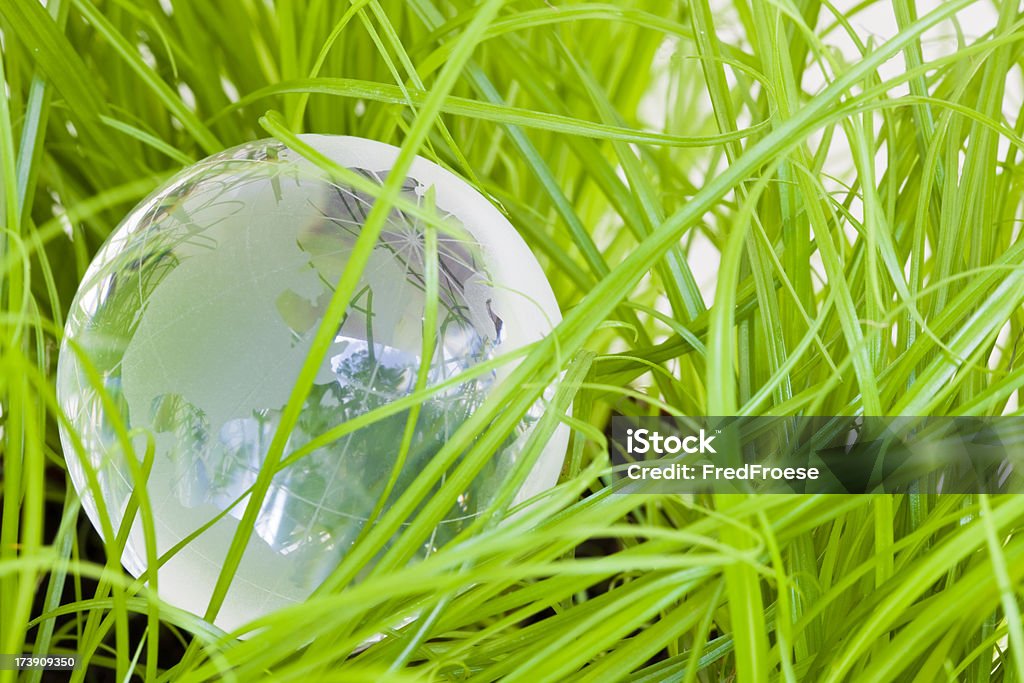 World "Green world concept, focus on north pole, soft focus on background, shallow depth of field,more like this:" Agriculture Stock Photo