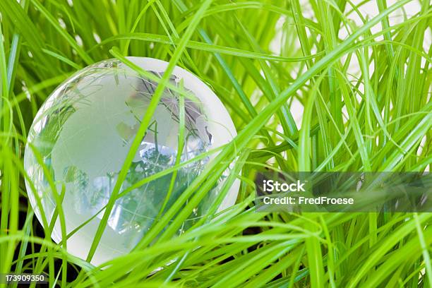 World Stock Photo - Download Image Now - Agriculture, Air Pollution, Close-up