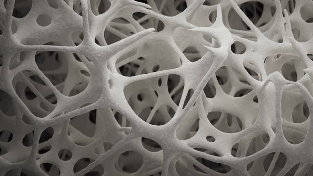 Human bone tissue growing, scanning electron microscope, 3d animation.