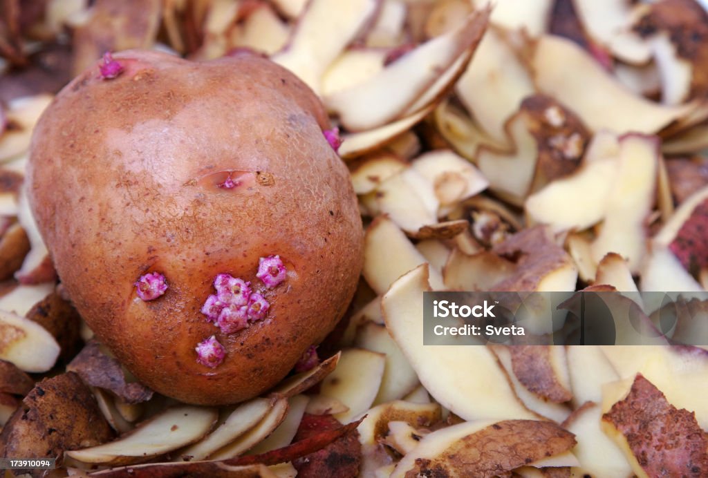 Peelings de batata - Foto de stock de Alimento básico royalty-free