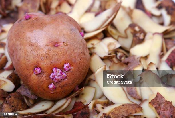 Foto de Peelings De Batata e mais fotos de stock de Alimento básico - Alimento básico, Batata - Tubérculo, Batata vermelha