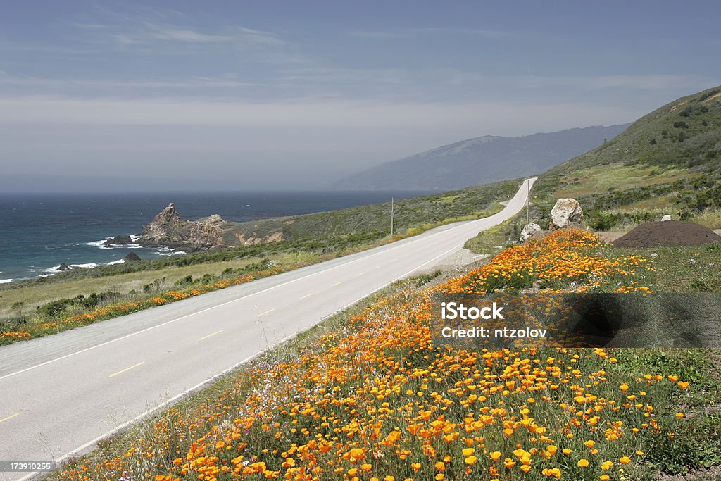 Scenic Drive "Pacific Coastal Highway near BIg Sur, Central California" Highway Stock Photo