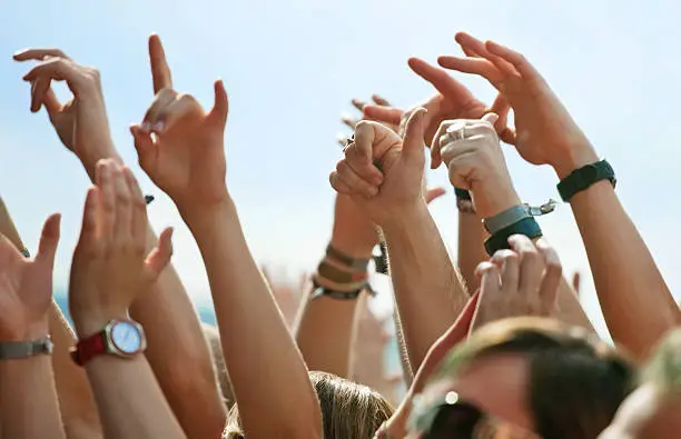 Photo of Concert Crowd